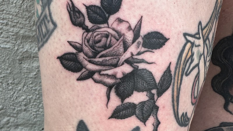 Big Cat Tattoo