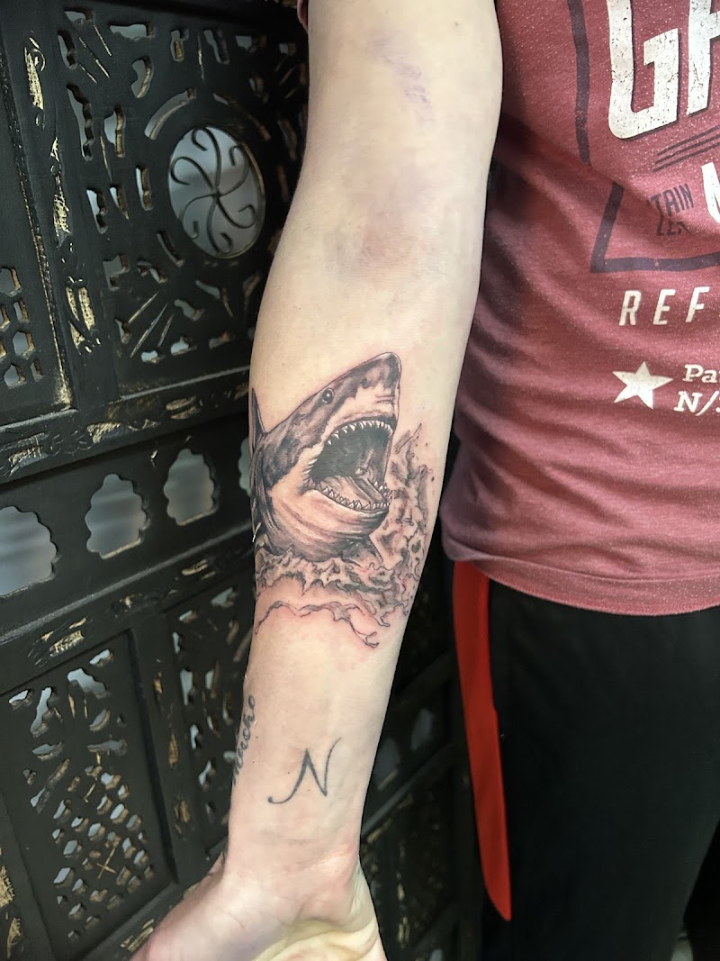 Flytrap Tattoos