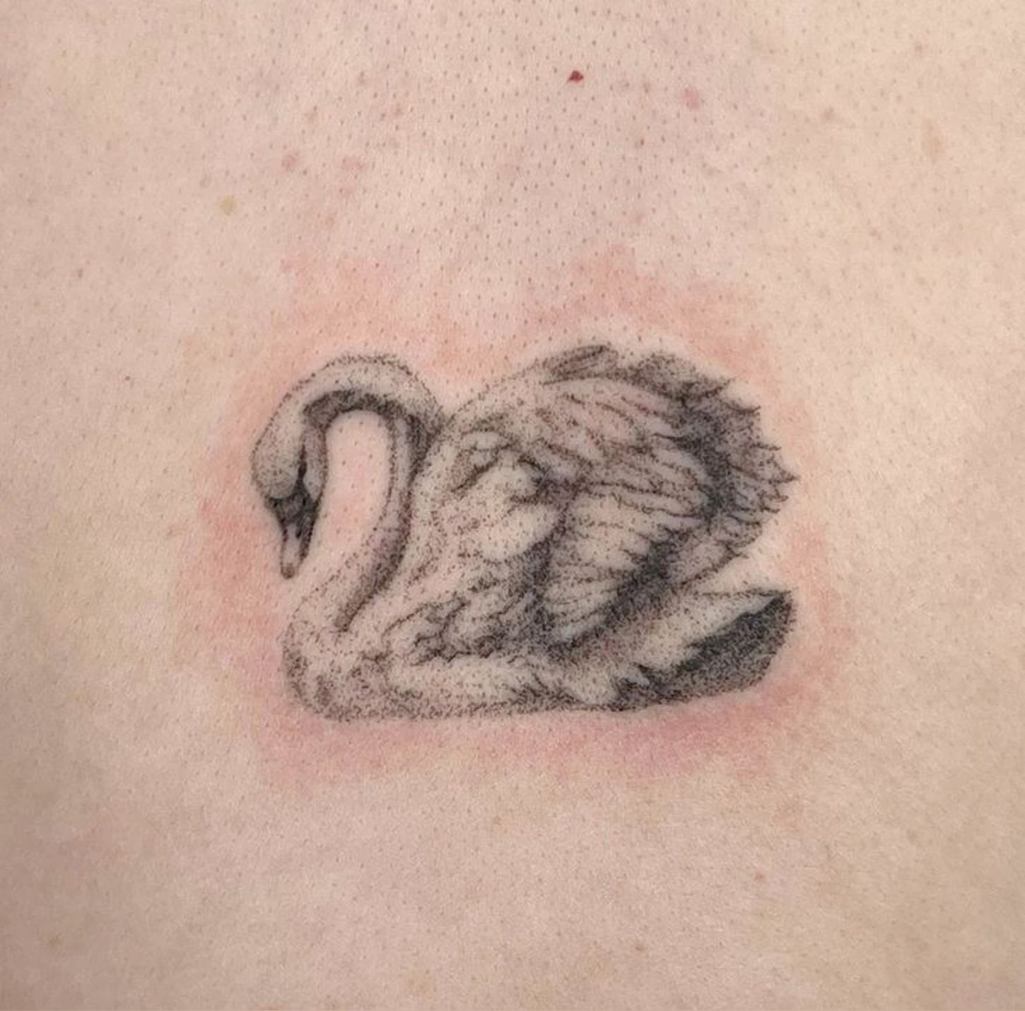 Coquette tattoo idea #33