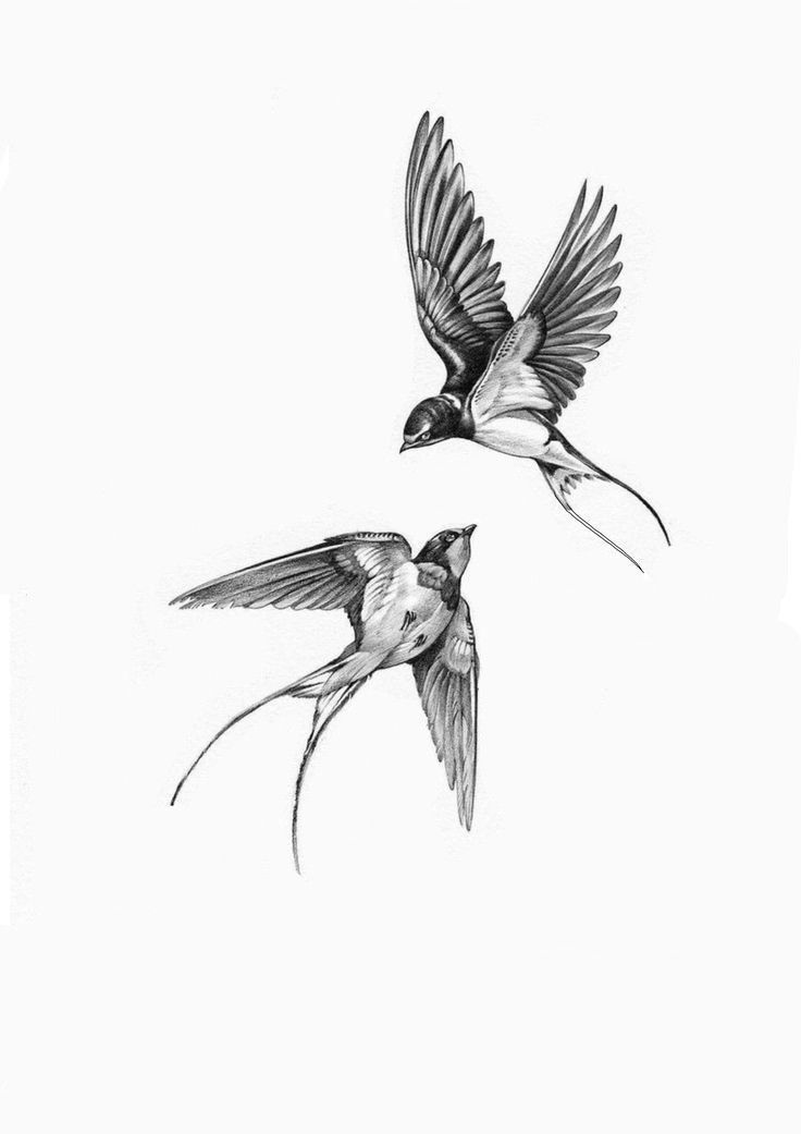 Realism tattoo idea #10