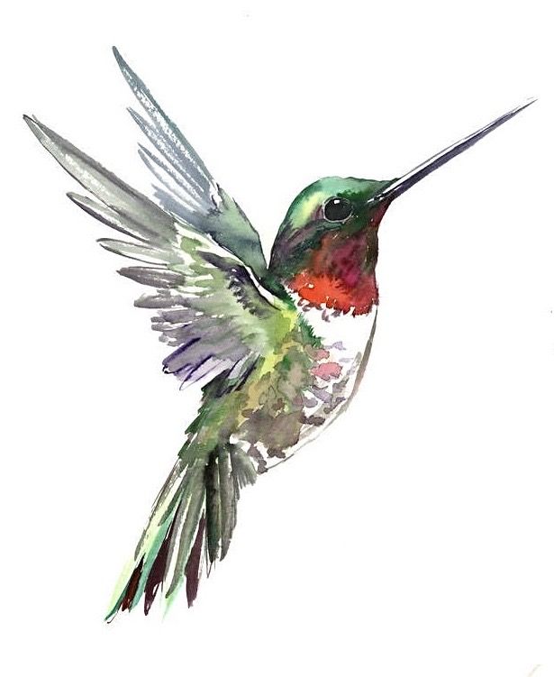 Watercolor tattoo idea #2